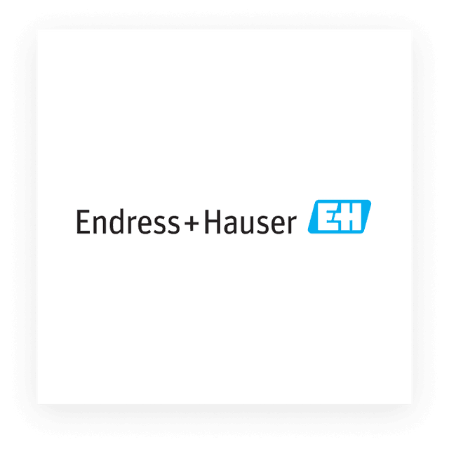 Endress+Hauser