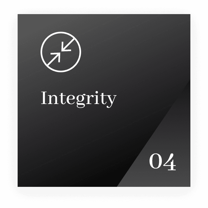 NAVRON Core Value - Excellence