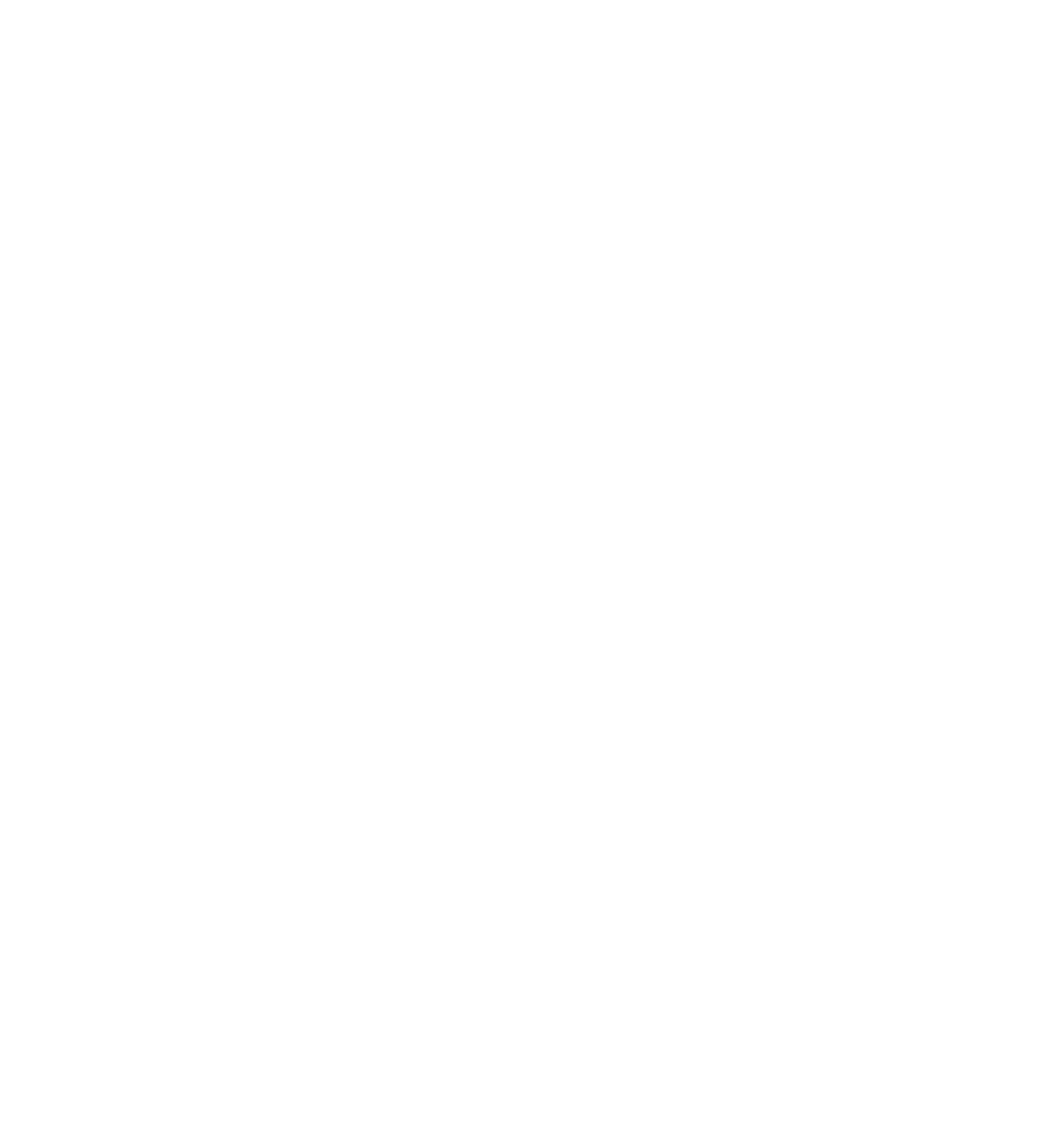 NAVRON global delivery network